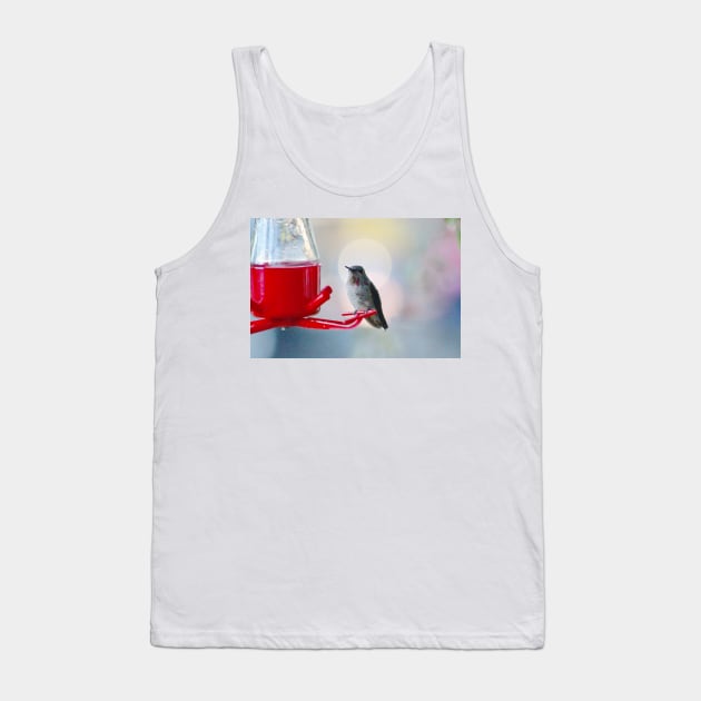 Hummingbird sun halo Tank Top by SandiLin